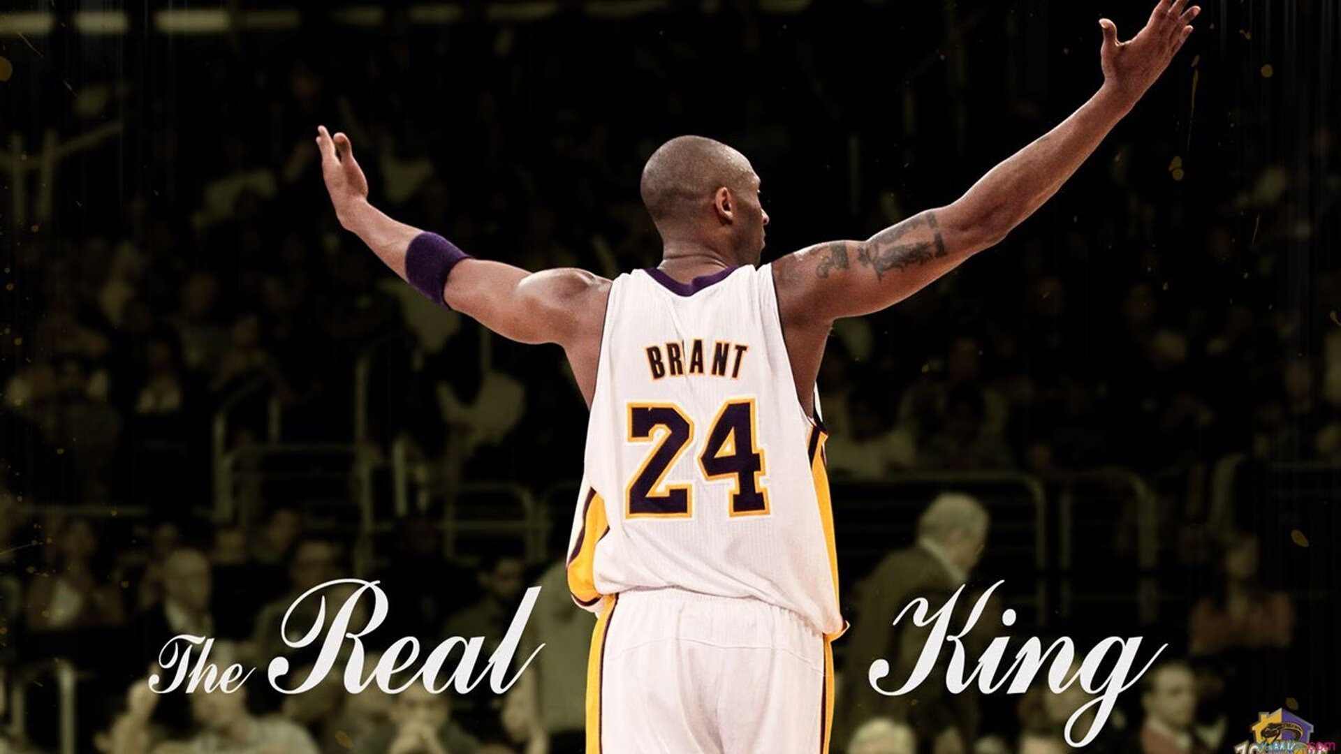 FB体育下载-北境之王归来，伦纳德在多伦多焦点之战中定义伟大